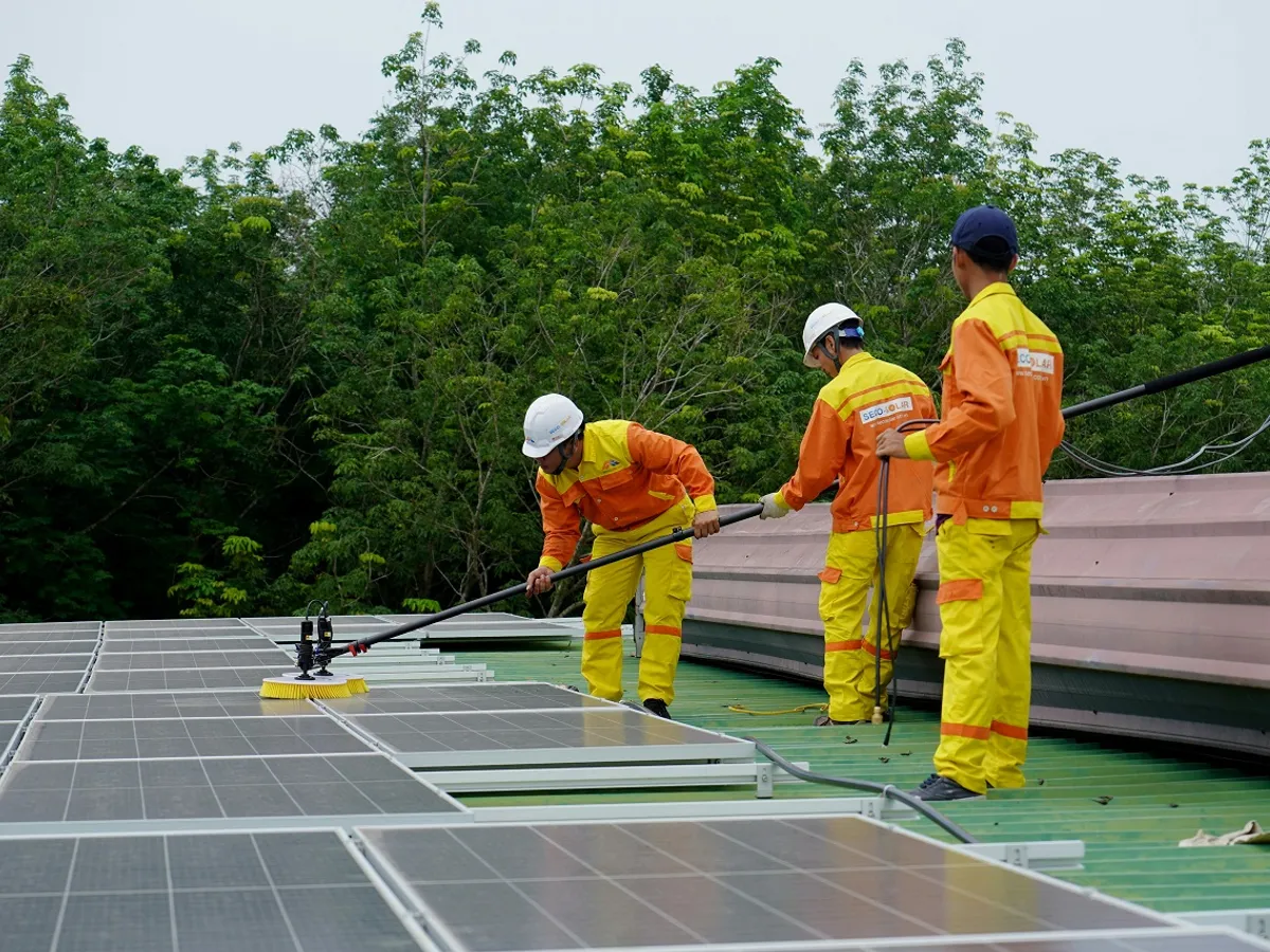 Muncitori curățând panouri fotovoltaice