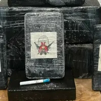 Un turist care se plimba pe o plajă din Florida a descoperit cocaină în valoare de aproape 500.000 $ Foto: Walton County Sheriff's Office