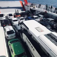 Ai mașină electrică, hybrid sau pe GPL și vrei în vacanță pe o insulă din Grecia? Vezi noile reguli - Foto: Facebook/Forum Thassos - Imagine cu rol ilustrativ