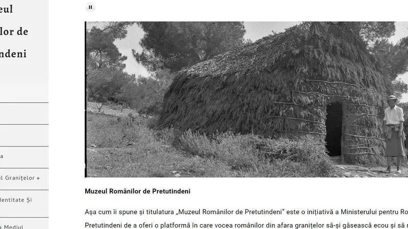 Printscreen - cum arată muzeul virtual pentru Diaspora