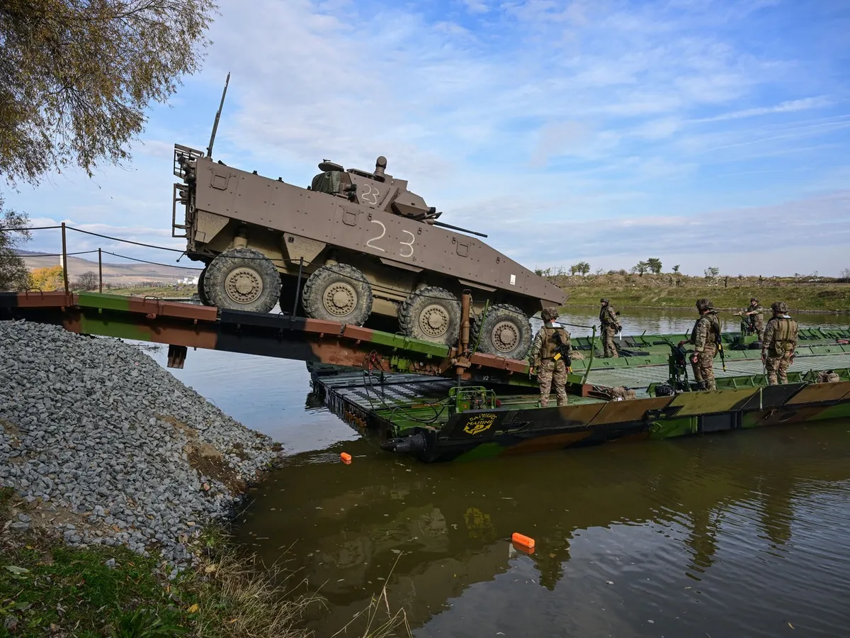Misiune complexă de traversare a Mureșului - Foto: Profimedia Images