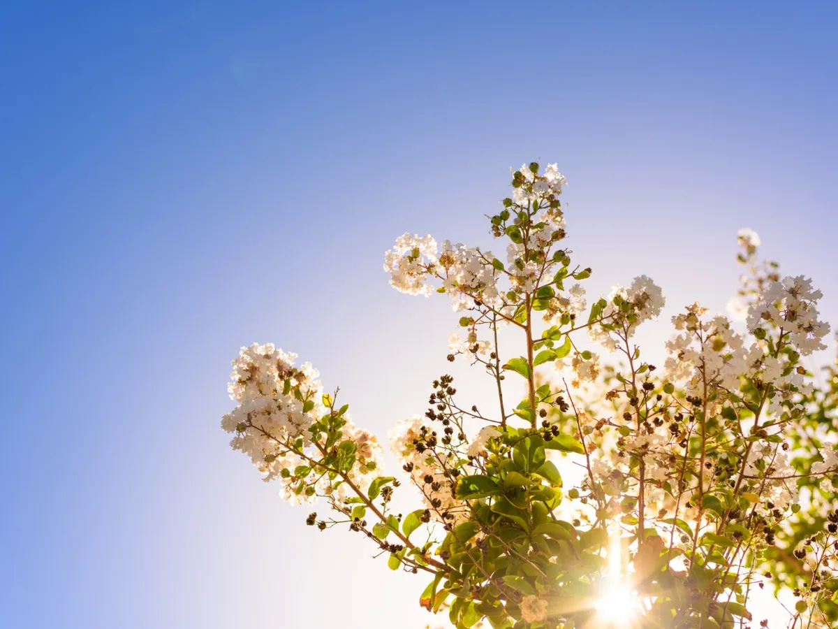 METEO Europa trece brusc de la iarnă la temperaturi record. România va cunoaște un val de căldură în curând