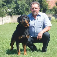 Daniel Marcu