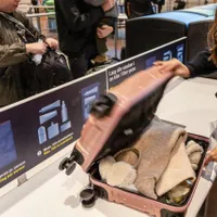 Ce avea în bagajul de cală un suedez care zbura la Londra? A fost oprit pe Aeroportul Otopeni - Foto: Profimedia Images (rol ilustrativ)