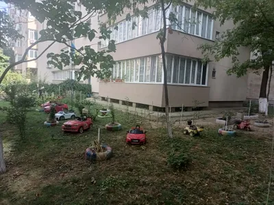 Spaţiu verde puternic personalizat. Proprietarul şi-a pus în grădină inclusiv maşinuţe de jucărie - Foto: Foto: Florin Budescu