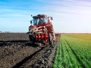 În ce regiune din România există riscul de deșertificare? Nivelul de umiditate a scăzut la un sfert Foto: Freepik (fotografie cu caracter ilustrativ)