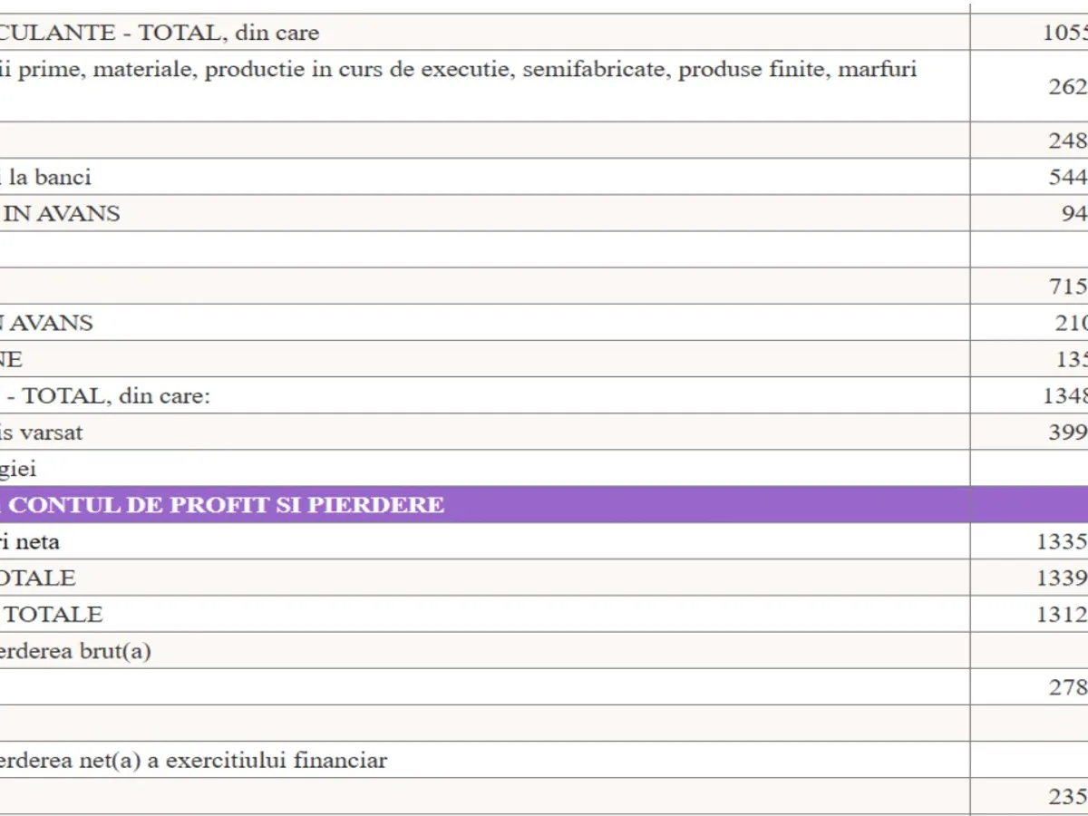 Raportul Ministerului Finatelor despre  Lukoil