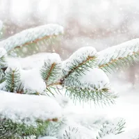 Trasee montane închise din cauza ninsorilor din ultimele ore. Pe unde se poate circula Foto: Pexels (fotografie cu caracter ilustrativ)