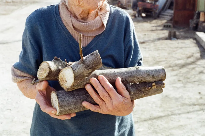 Pensionar caută lemne - Foto: Freepik