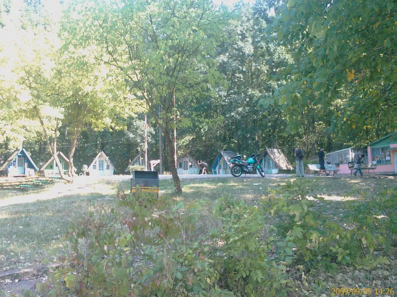 Tabăra Circ - Foto: ziaruldeiasi