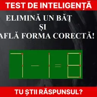 Test de inteligență Foto: Newsweek