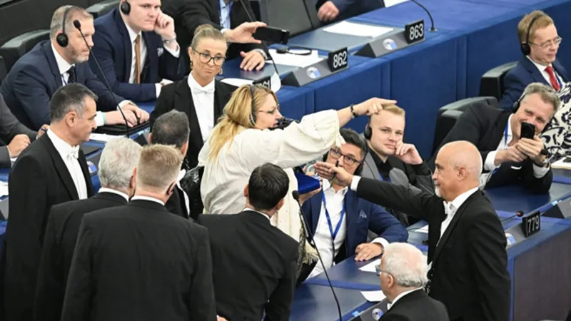 Ce sancțiuni riscă Diana Șoșoacă după scandalul uriaș din plenul Parlamentului European - Foto: Profimedia(imagine cu rol ilustrativ)