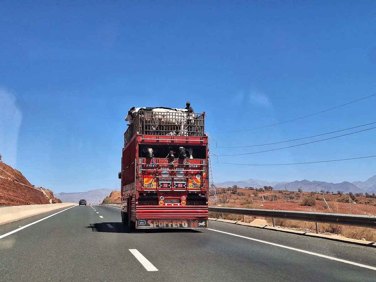 Aventură extremă! Doi români au traversat Europa, Africa și Asia cu un Tico. „Dor de slănină” - Foto: Facebook/Coast 25 Coast