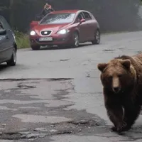 Foto: informatiahr.ro