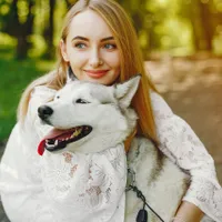 VIDEO Cum arată cel mai scump câine din lume - Foto: Freepik (imagine cu rol ilustrativ)