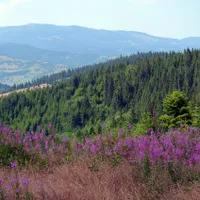 Munți din România, în topul celor mai bune trasee de drumeție din lume - Foto Pixabay - cu rol ilustrativ