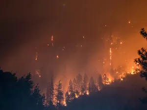 Un pompier a murit și 1.000 de persoane evacuate după izbucnirea unui incendiu de pădure în Spania/FOTO: Unsplash