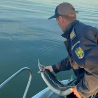 Captură record în Deltă! Polițiștii au confiscat peste o tonă de pește și 43 kg de raci - Foto: Arhivă/ Imagine cu caracter ilustrativ