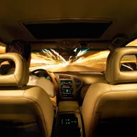 1.000 euro amendă dacă folosește sistemul GPS într-o țară intens vizitată de români. Șoferi neatenți Foto: Profimedia Images (fotografie cu caracter ilustrativ)