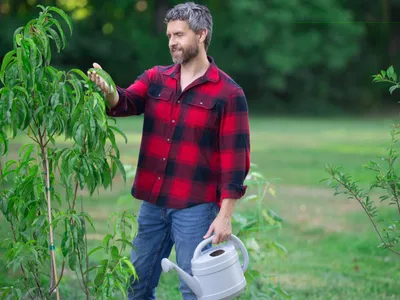 Grădinar care crește un copac în grădină - Foto: Magnific.com (Imagine cu rol ilustrativ)