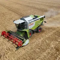 România redevine grânarul Europei. Producție uriașă de grâu și cel mai mare exportator UE - Foto: Profimedia Images