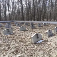 Anchetă: Cine a scris litera Z pe mormintele soldaților ruși din Moțca/foto: facebook