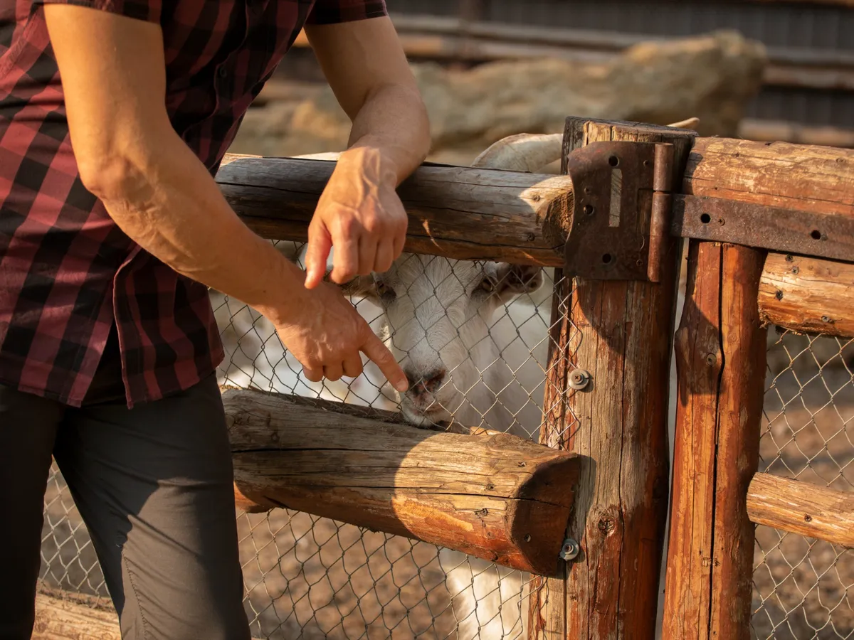 Bărbat care locuiește la țară și stă lângă un gard - Foto: Freepik (rol ilustrativ)