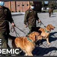 Foto: Captură video