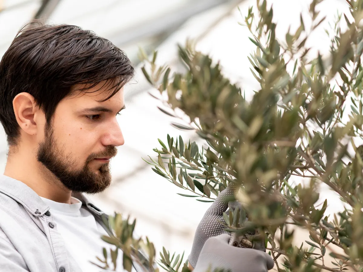 Planta pe care trebuie să o ai în casă, pe terasă sau în grădină pentru prosperitate și noroc - Foto: Freepik (Imagine cu rol ilustrativ)