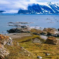 Pățania unui turist atunci când a mers în Norvegia. S-a ales cu o amendă de 1.000 euro. Ce a făcut? - Foto: Profimedia / imagine rol ilustrativ