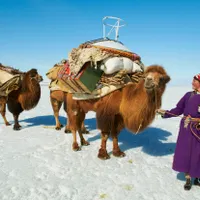 Mongolia - Foto: Profimedia