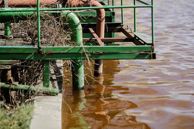 Lacul IOR din Capitală, poluat cu fecale. Sursa: Inquam Photos - George Călin