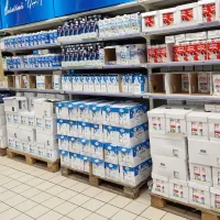 Diferenţă foarte mare de preţ între laptele de la producători şi cel de pe rafturile magazinelor - Foto: Dorin Cojocaru, APRIL