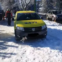 Foto: captură video