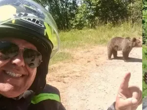 Turistul ucis de o ursoaică postase, cu o zi înaintea atacului, poze cu urşi pe marginea drumului - Foto: News.ro