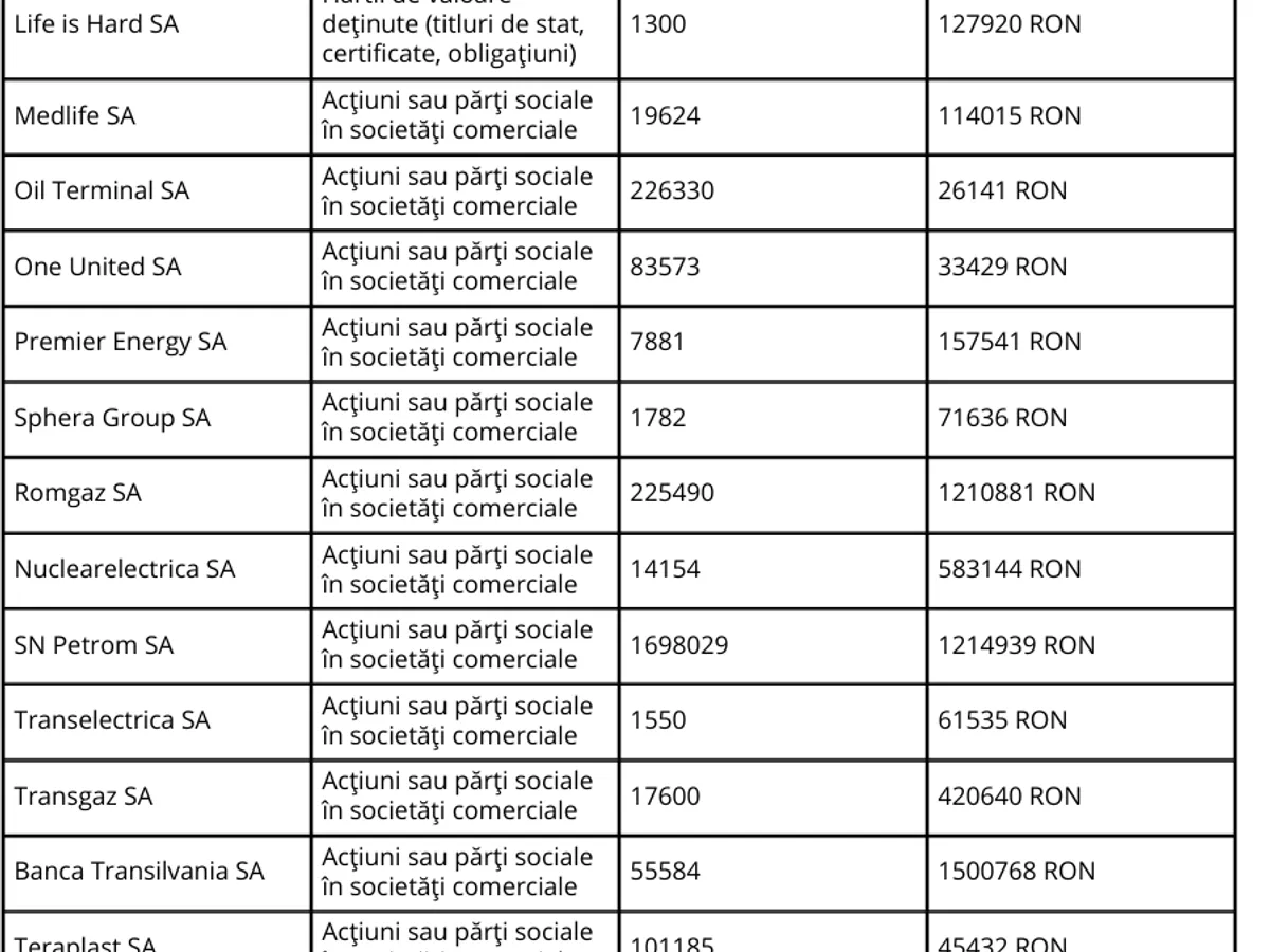 Declarație de avere Petrișor Peiu - Foto: ANI