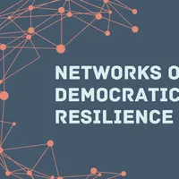 Networks Of Democratic Resilience