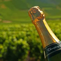 sursă winetastingfrance.com