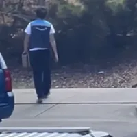 Curierul care livra un colet în timpul unei intervenții speciale - Foto: Captură Tik Tok