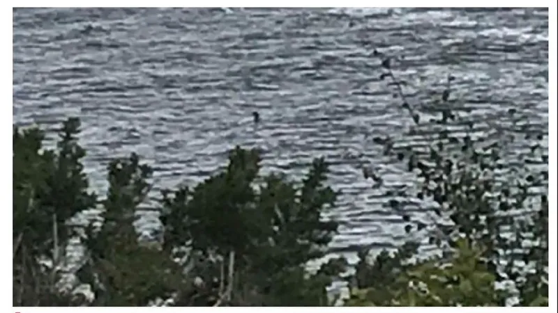 Fotografia monstrului din Loch Ness, făcută de o fetiță, „cea mai bună imagine” din ultimii ani - Foto: NZ Herald