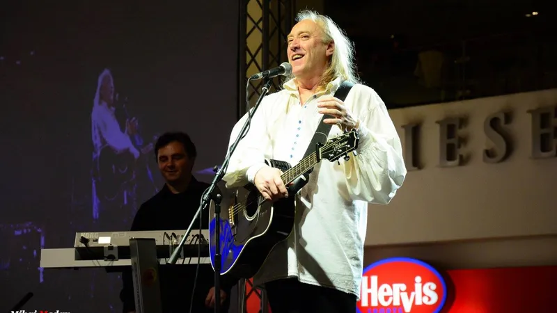 Ștefan Hrușcă în concert - FOTO: FB