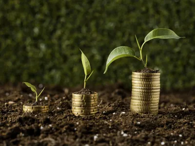 FIşicuri de monede pe care cresc plăntuţe verzi - Foto: Magnific.com/magnific