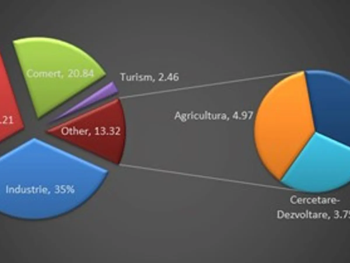 Pondere domenii după cifra de afaceri