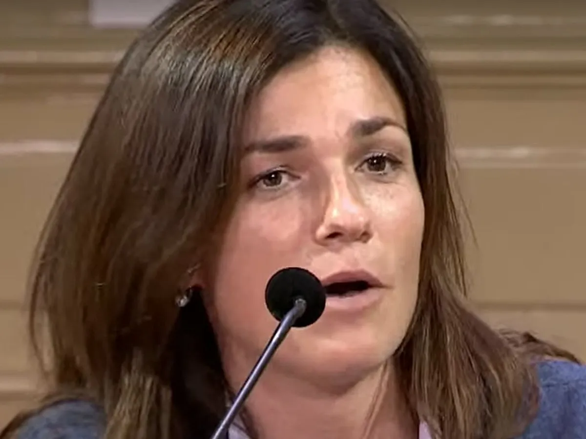 Ministrul Justiţiei ungar: România, treabă extraordinară cu paza graniţelor. Merita în Schengen - Foto: captură YouTube