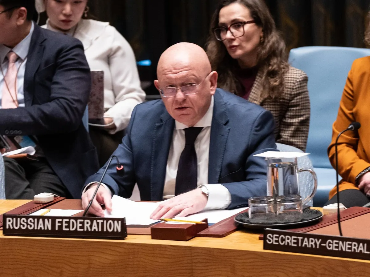 Vassily Nebenzia - Foto: Profimedia images