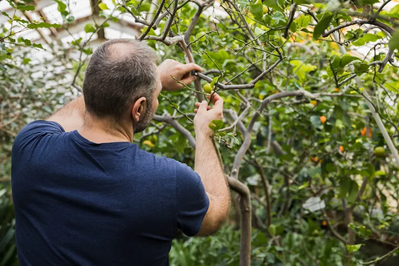 Bărbat care se uită la copaci - Foto: Magnific.com (Imagine cu rol ilustrativ)