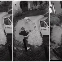 În Sibiu a fost furat un pom de Crăciun dintr-un cartier. Hoțul a fost prins pe camerele video Facebook/SpicRestaurant