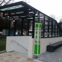 WC de 400.000 de euro, în Pitești. / Foto: adevarul.ro