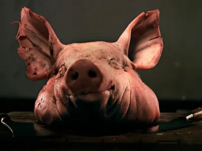 Saga capetelor de porc continuă. Un al doilea incident tip Cosa Nostra la proprietățile cofondatorului AUR, Marius Lulea