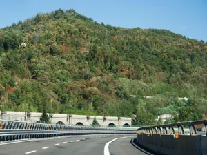 De ce s-a laut decizia de a scoate mega-viaductele dintr-un proiect de autostradă. CNAIR a decis Foto: Profimedia Images (fotografie cu caracter ilsutrativ)